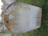 image number C1_295